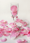 Coupes scintillantes et p&eacute;tales roses